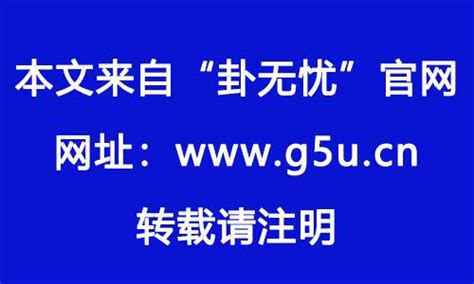 1982屬什麼|82年属什么生肖 1982年与什么生肖合作最佳